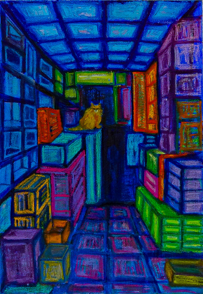 盒子中的貓 Cat in a house of boxes