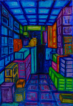 盒子中的貓 Cat in a house of boxes